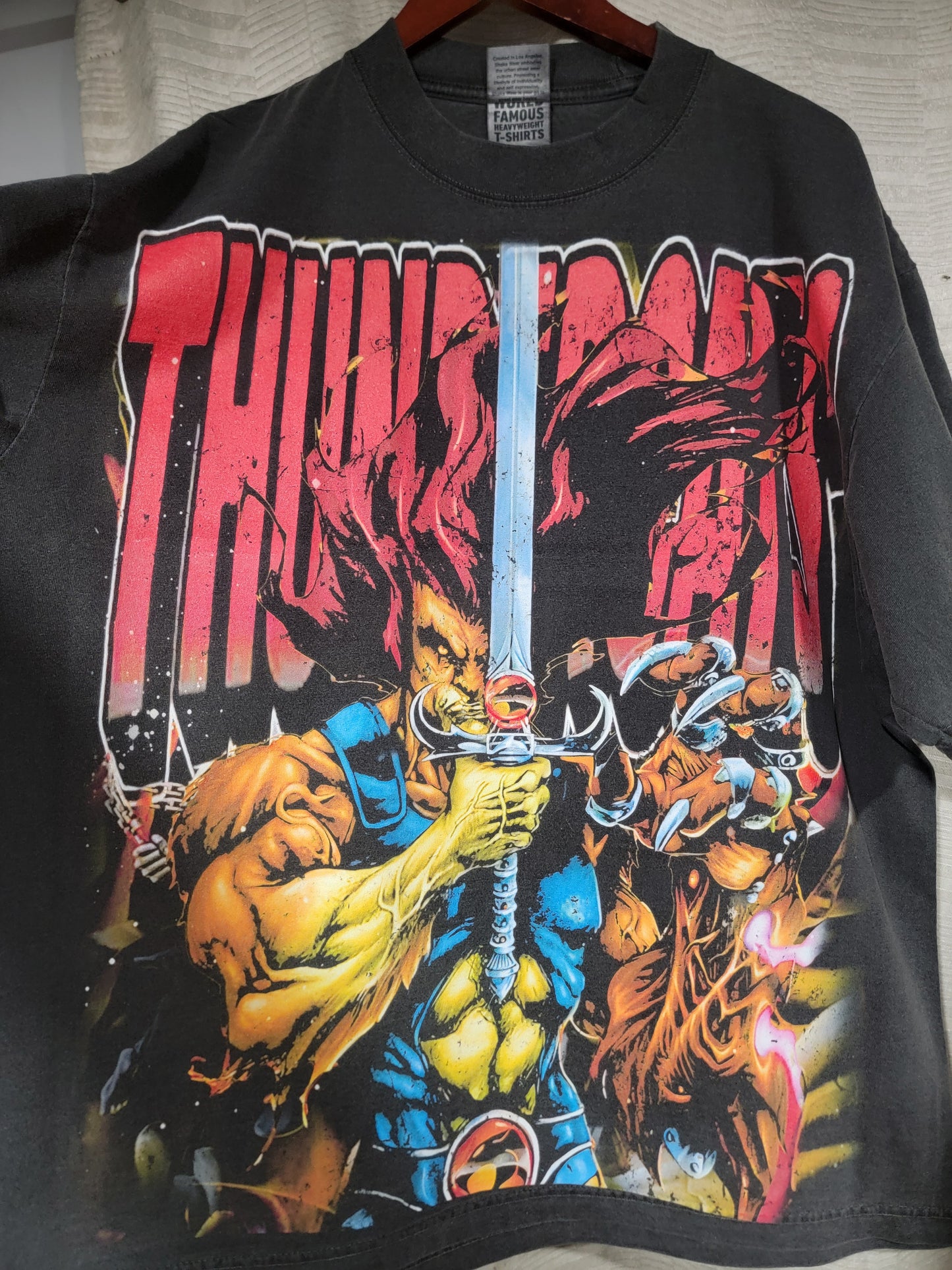 THUNDERCATS ON SHAKA HEAVYWEIGHT GARMET DYED T SHIRT