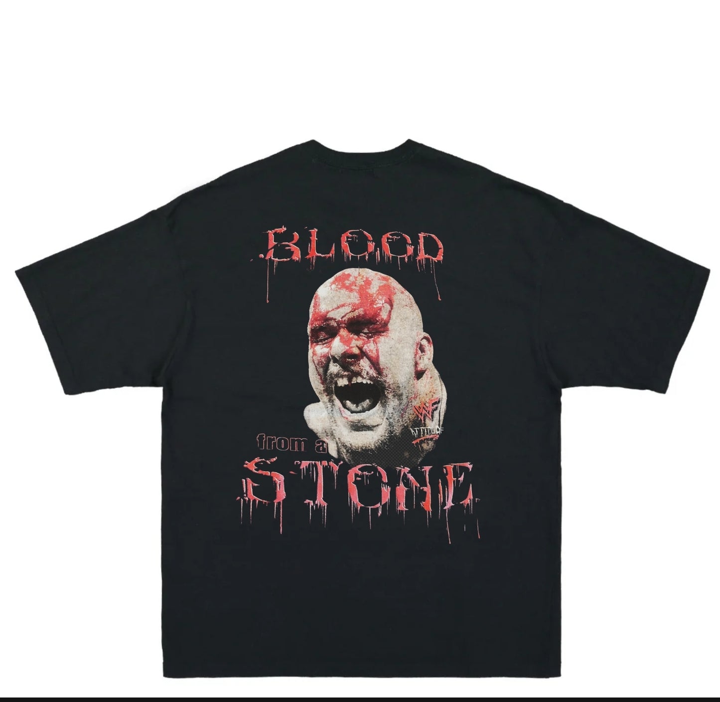 STONE COLD BLOOD FROM A STONE T SHIRT "MODERN