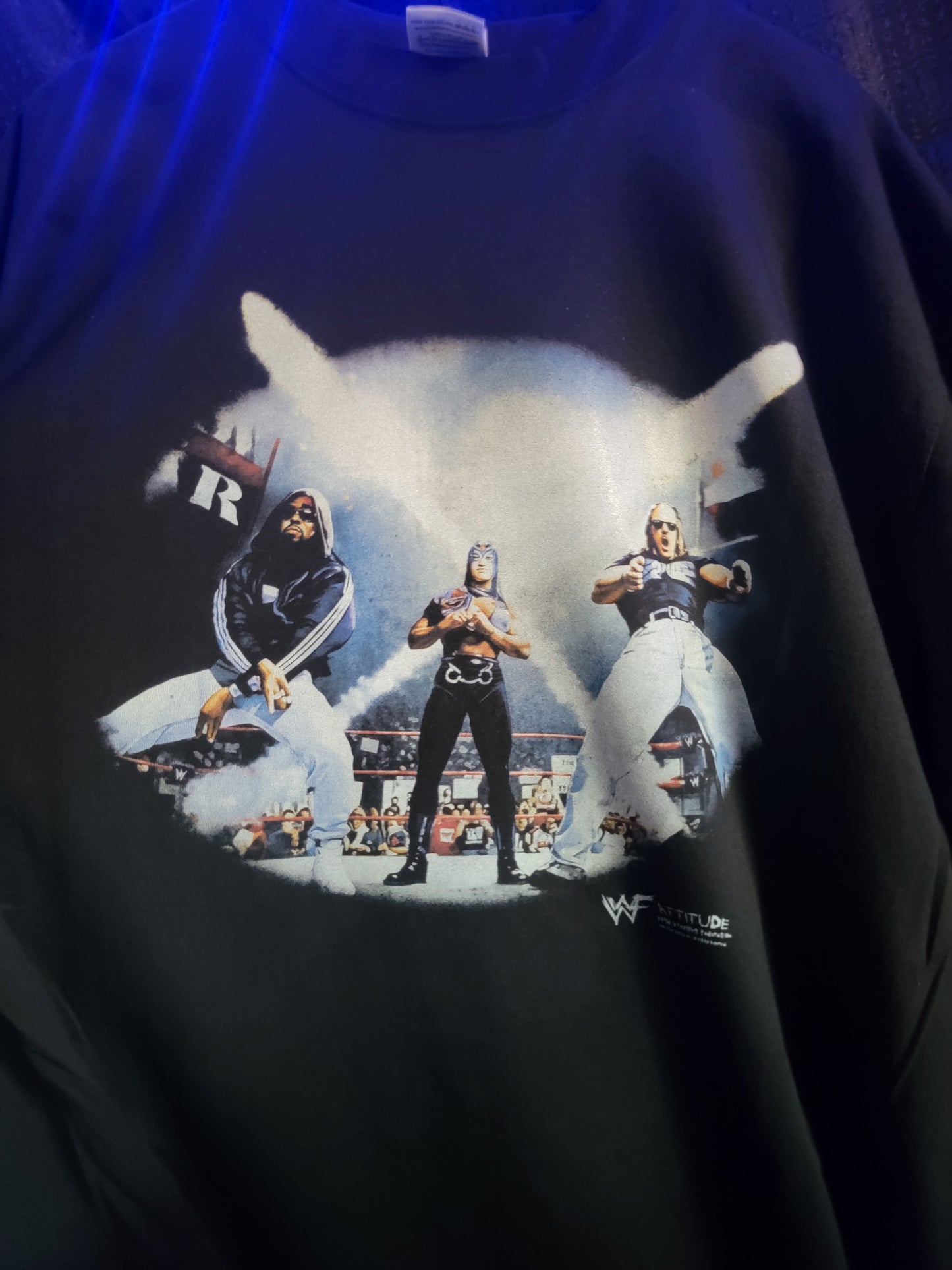 D-generation X on shaka heavyweight garmet dyed t shirt , Wrestling